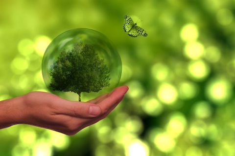 Comment Devenir un Commerce de Détail Éco-Responsable ?